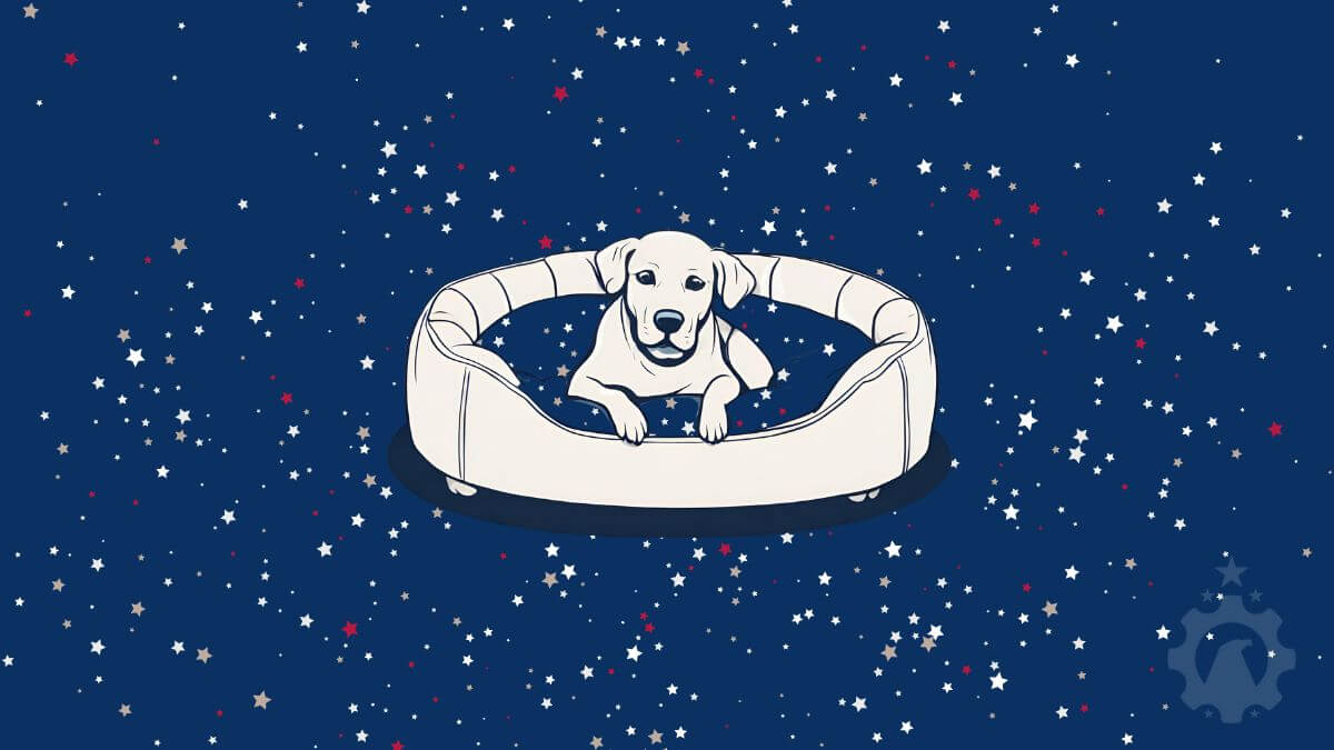 11+ Dog Beds Made in the USA