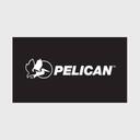 https://allamerican.org/wp-content/uploads/pelican-logo.jpg